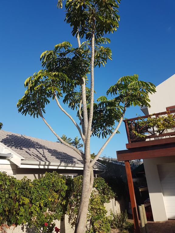 Founders Keepers - Leisure Isle Lägenhet Knysna Exteriör bild